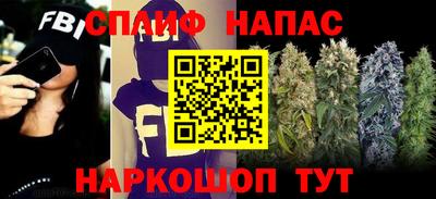 гидропоника Будённовск
