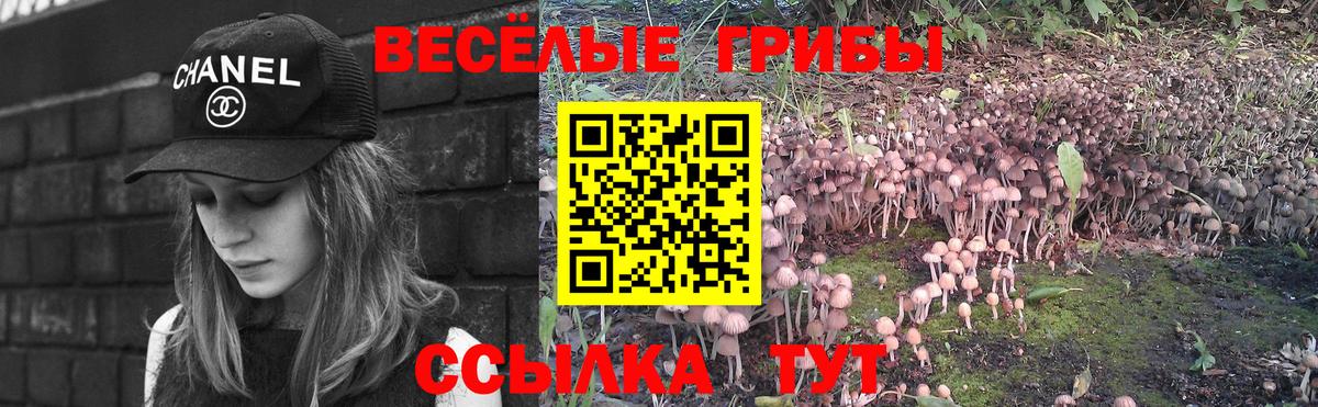 Псилоцибиновые грибы Magic Shrooms  Псилоцибиновые грибы прущие грибы  Находка  Вход с VPN 