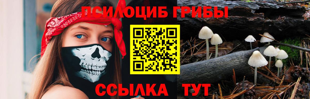 Псилоцибиновые грибы MAGIC MUSHROOMS Находка